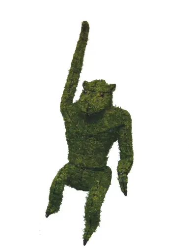 [BRAUN] Monkey, Hanging - 33" (Mossed}