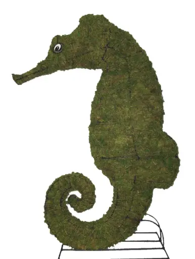 [BRAUN] Seahorse - 24" (Mossed}