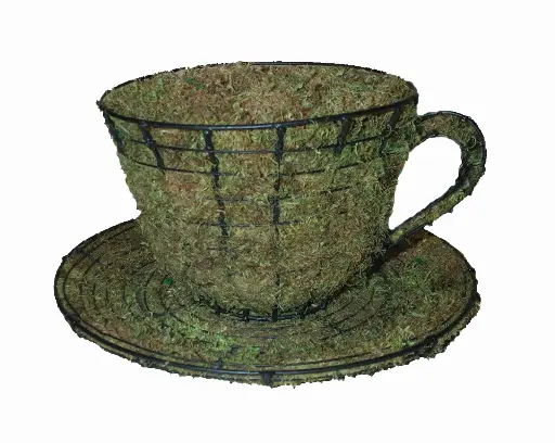 [BRAUN] Teacup & Saucer - 6" (Mossed)
