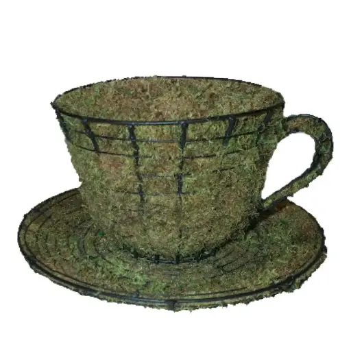 [BRAUN] Teacup & Saucer - 6" (Mossed)