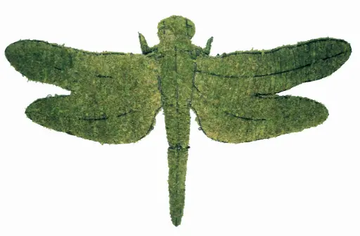 [BRAUN] Dragonfly - 8" (Mossed)