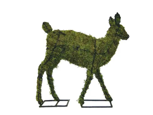 [BRAUN] Fawn - 25" (Mossed)