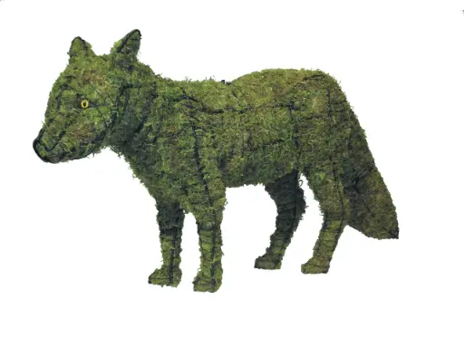 [BRAUN] Fox - 18" (Mossed)