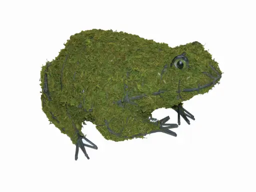 [BRAUN] Frog - 6" (Mossed}