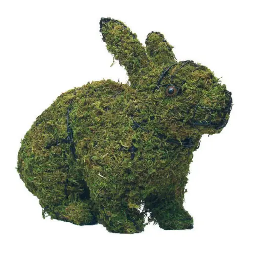 [BRAUN] Rabbit, Hopping - 20" (Mossed)