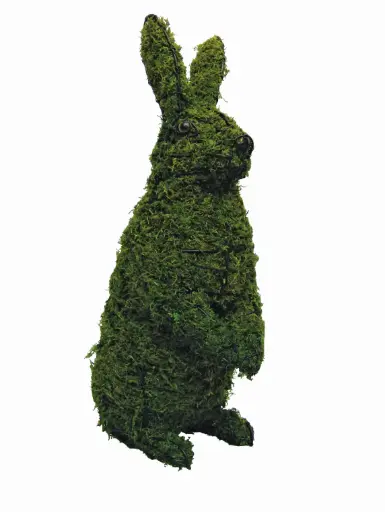 [BRAUN] Rabbit, Sitting Upright - 13" (Mossed)