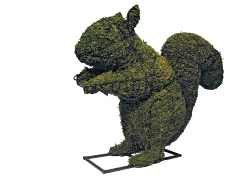 [BRAUN] Squirrel - 18" (Mossed)