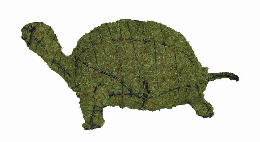 [BRAUN] Turtle - 5" (Mossed)