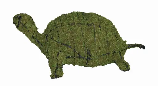 [BRAUN] Turtle - 8" (Mossed)