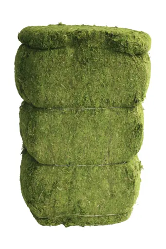 [BRAUN] Evergreen Moss Bale